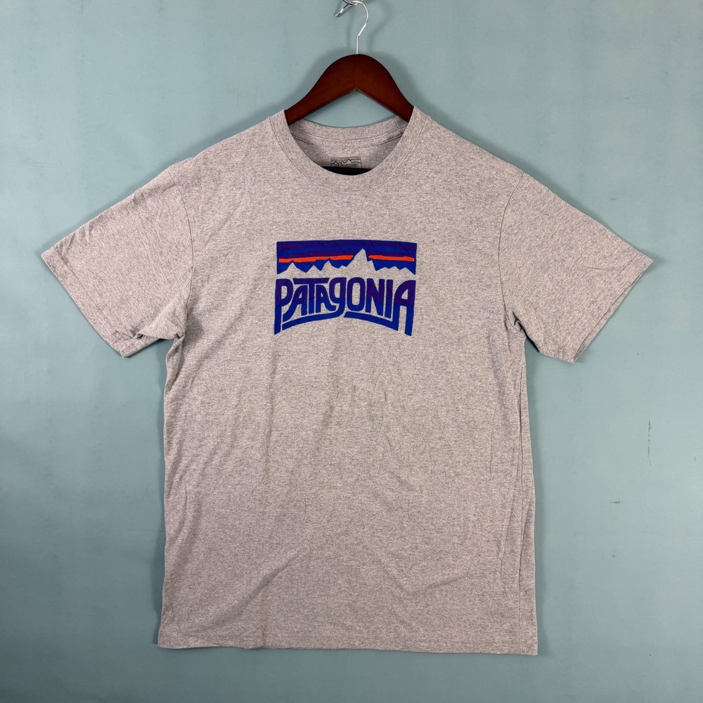 Patagonia Men's L Heather Gray Mountain Logo Graphic T-Shirt Regular Fit